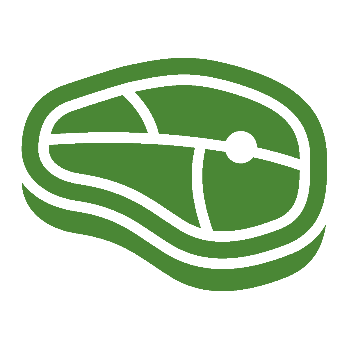 Bison
